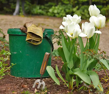 amenagement-et-decoration-de-jardins-87-1